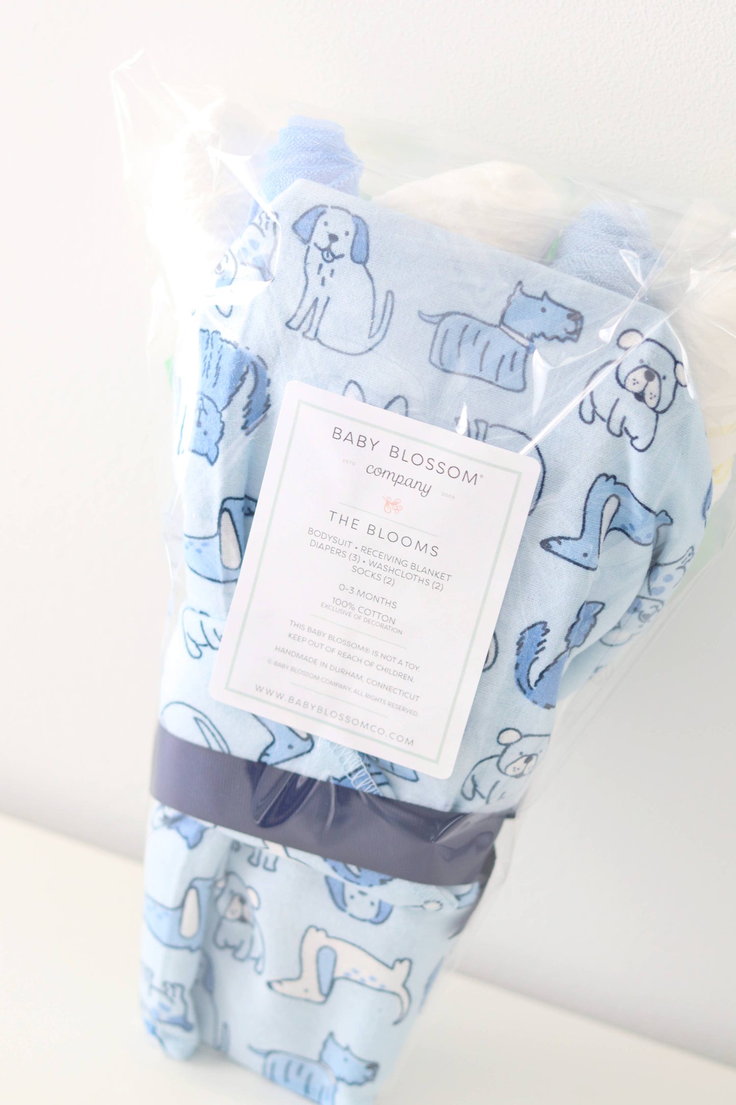 Baby Boy Gift Set Flower Bouquet - Puppy