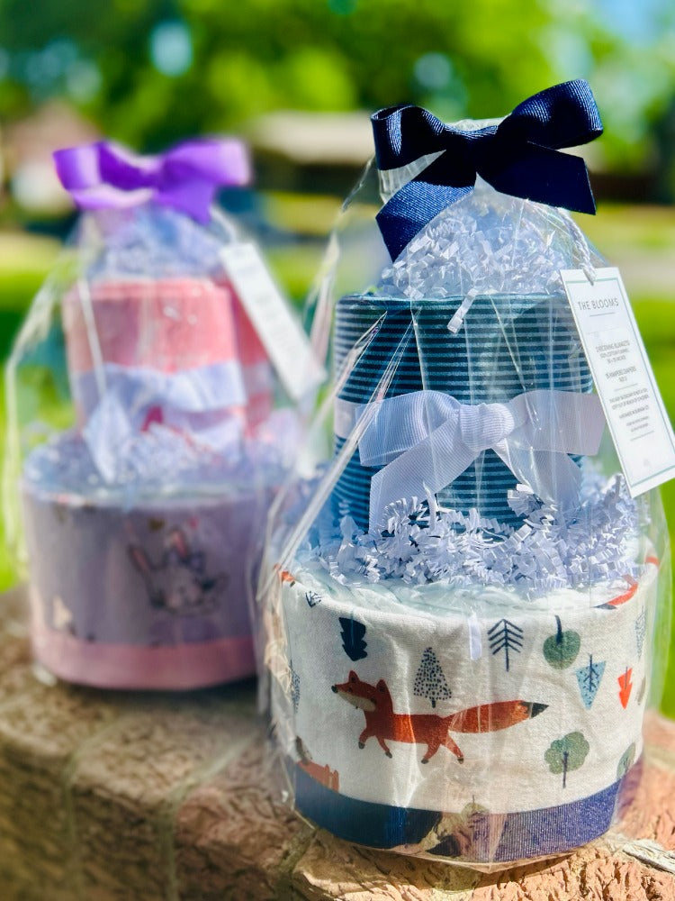 2-Tier Baby Girl Diaper Cake Gift Set- Ballerina